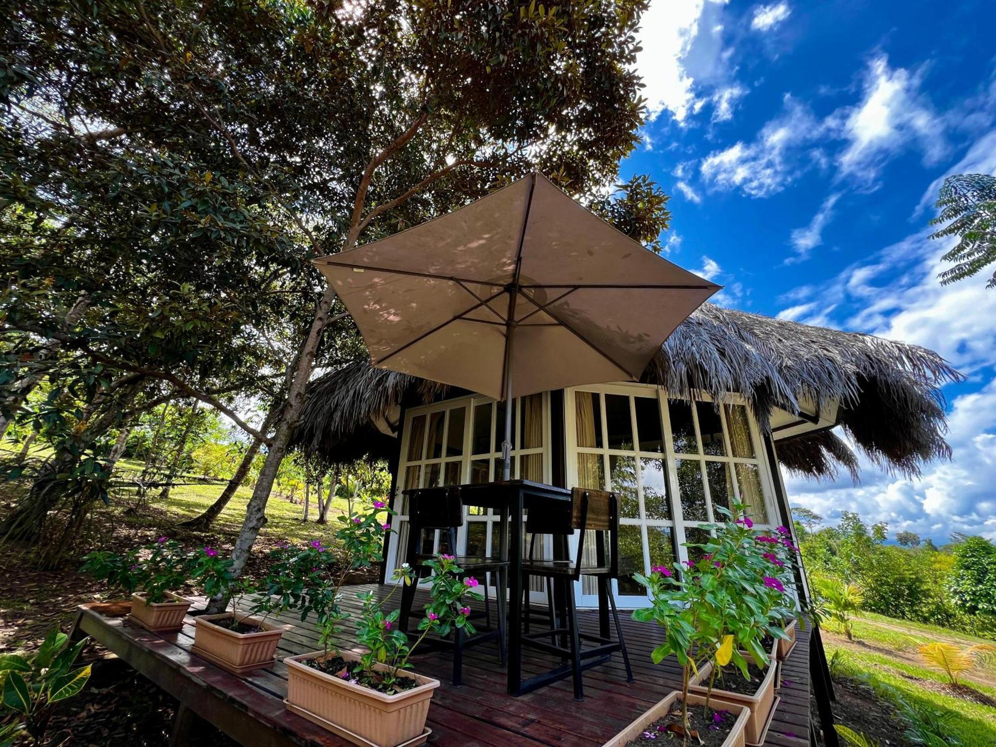 Exclusiva casa de selva en Yanashpa Village - Tarapoto Habitación foto